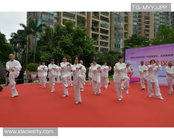 学习24式太极拳视频教程从入门到精通的完整指南与技巧分享