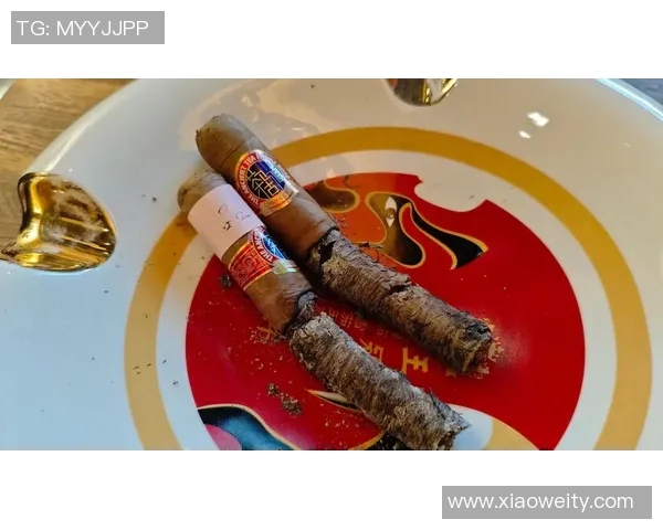 冠军雪茄的魅力与品鉴之旅探索顶级雪茄的风味与文化传承