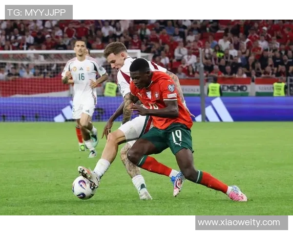 赫根对阵埃尔夫斯精彩直播全程回顾与赛后分析